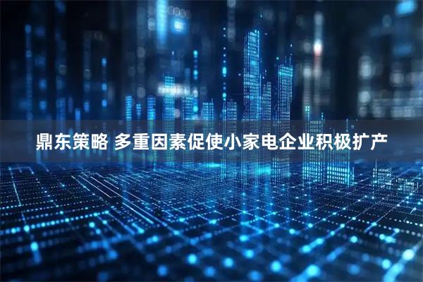 鼎东策略 多重因素促使小家电企业积极扩产