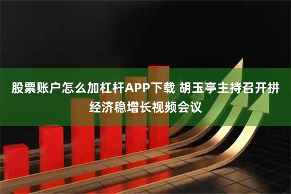 股票账户怎么加杠杆APP下载 胡玉亭主持召开拼经济稳增长视频会议